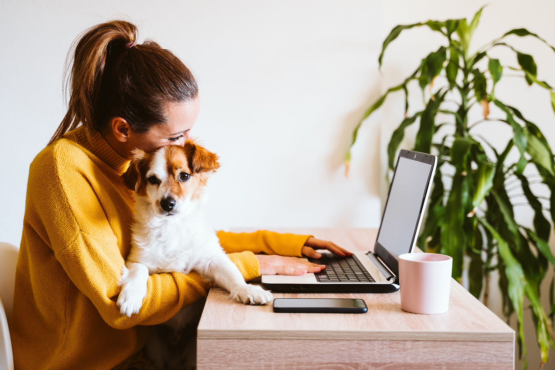 Woman using laptop at home with pet dog in lap